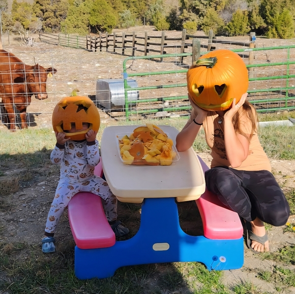 Meet your Posher, Kassidy - Picture 1 of 1